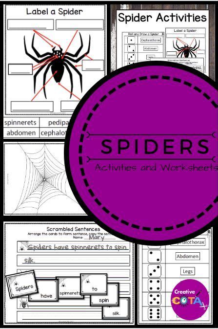 Spider Writing Activities And Worksheets Elementary Special Education