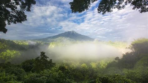 Alasan Hutan Sumatera Masuk ‘daftar Neraka Unesco Alobi