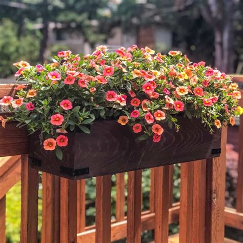 Maybe you would like to learn more about one of these? DIY Railing Planters for your Deck or Balcony | Railing ...