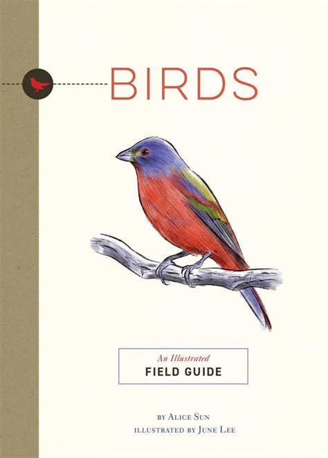 Birds An Illustrated Field Guide Nhbs Field Guides And Natural History