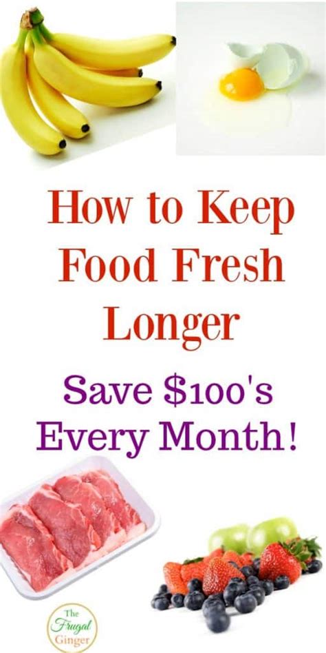 How To Keep Food Fresh Longer Save 100s Every Month