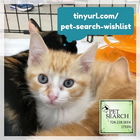 Pet Search Animal Rescue And Placement