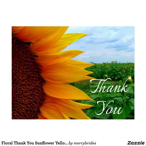 Floral Thank You Sunflower Yellow Flowers Green Postcard Yellow