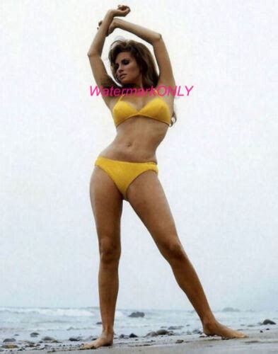 Gorgeous Actresssex Symbol Raquel Welch Busty Bikini Pin Up