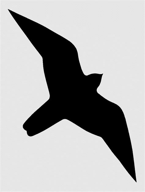 Free Printable Bird Decal To Deter Birds From Flying Into Your Window