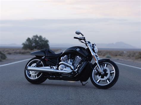 Harley Davidson Vrscf V Rod Muscle 2010 Pictures And Review