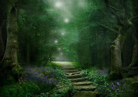 Mystical Garden Landscape Forest Fairy Scenery