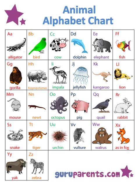 List Zoo Animals Alphabetical Order Olivia Chand