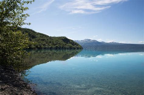 Turquoise Water At Skilak Lake Stock Image Image Of Forest Blue