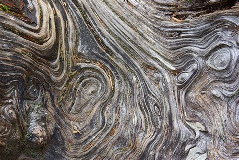 How To Photograph Texture And Detail In Nature Photography Joyas Textura