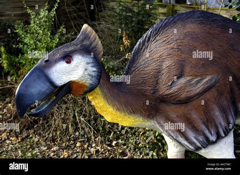 Prehistoric Bird Creature Diatryma Flightless Bird Giant Extinct