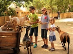 Erlebnis-Zoo Hannover - Clever Kids