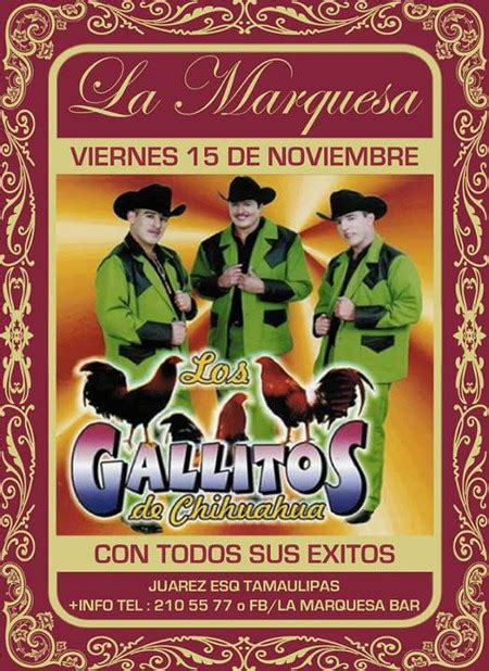 Los Gallitos De Chihuahua La Marquesa Bar Y Cantina Hermosillo