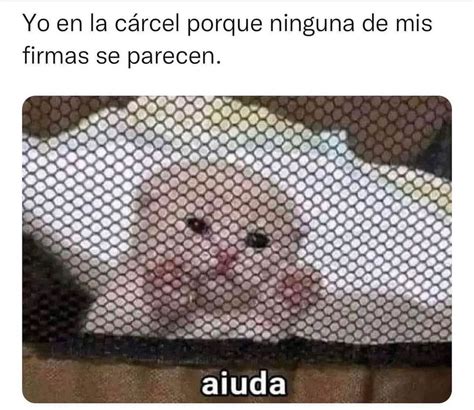 Yo en la cárcel porque ninguna de mis firmas se parece Aiuda Memes