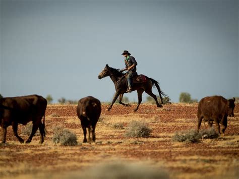 The Outback Life Of Australian Cowboys Adelaide Now