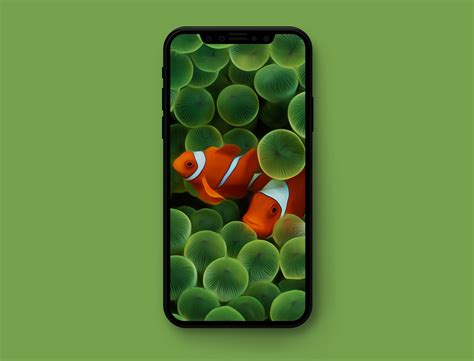 Original Apple Wallpapers Optimized For Iphone X