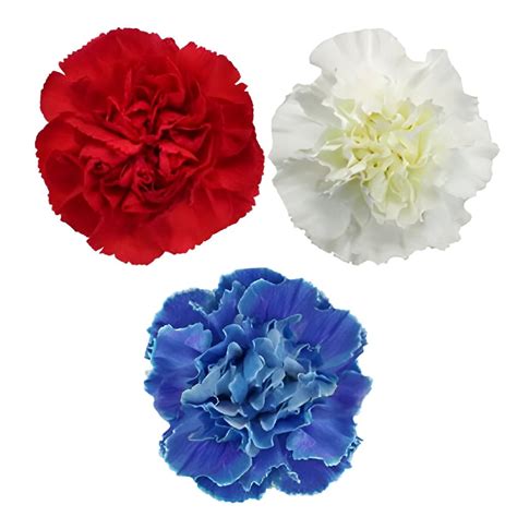 Wholesale Red White And Blue Carnation Combo Pack ᐉ Bulk Red White