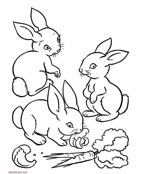 Dibujos De Conejos Para Colorear