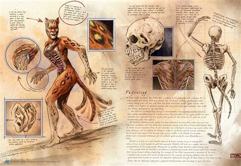 Dc Comics Anatomy Of A Metahuman Book By Sd Perry Matthew Manning