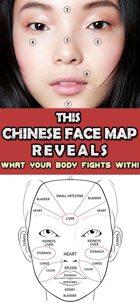 This Chinese Face Map Reveals What Your Body Fights With Face
