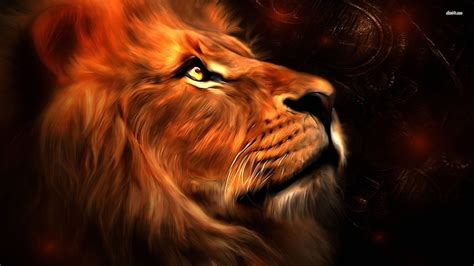 1920x1080 Lion Wallpaper Background Image View Download Comment And