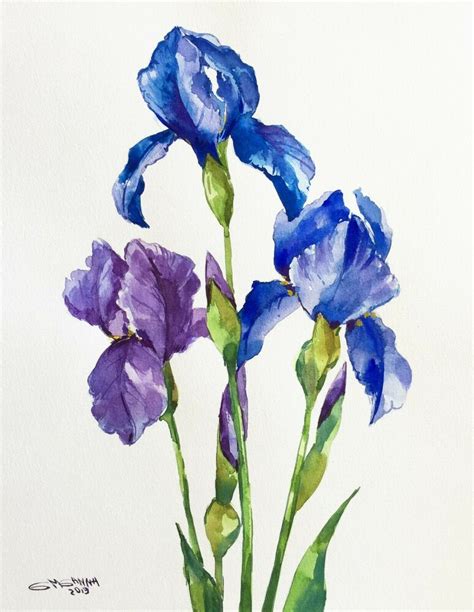 Purpleblue Irises Flowersmothers Day Tflower Original Watercolor