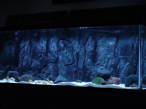 3d Aquarium Backgrounds