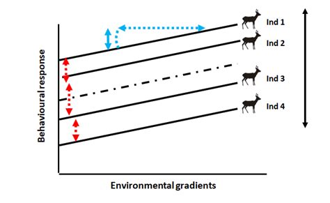 Illustration Of Phenotypic Variation In Behaviour Assessed Through An