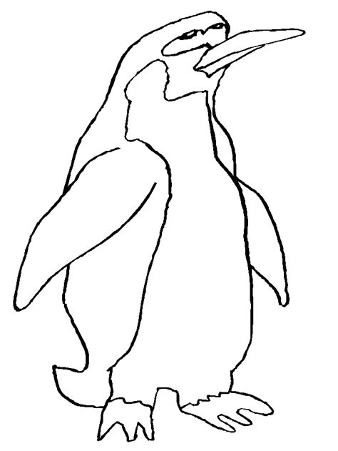 Penguins 9 Animals Coloring Pages And Coloring Book