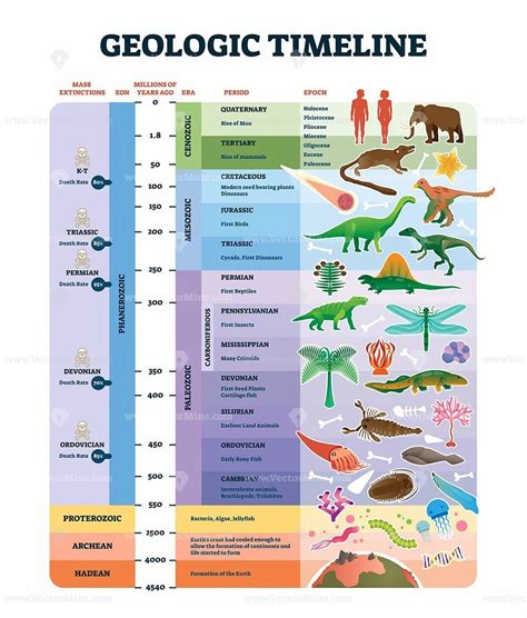 Geologic Time Scale Worksheet Chart Vector Illustration Poster