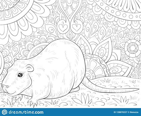 Adult Coloring Bookpage An Otter Image For Relaxingzen Art Style
