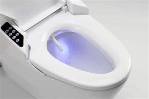 12 Best Bidet Toilet Seats Reviews 2022 User Friendly