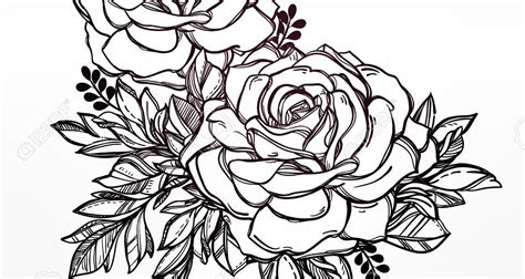 Tattoo Rose Drawing Line Art Rose Tatoo