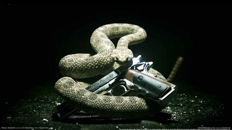 Hitman Absolution Gun Snake PC Gaming Wallpaper 142740