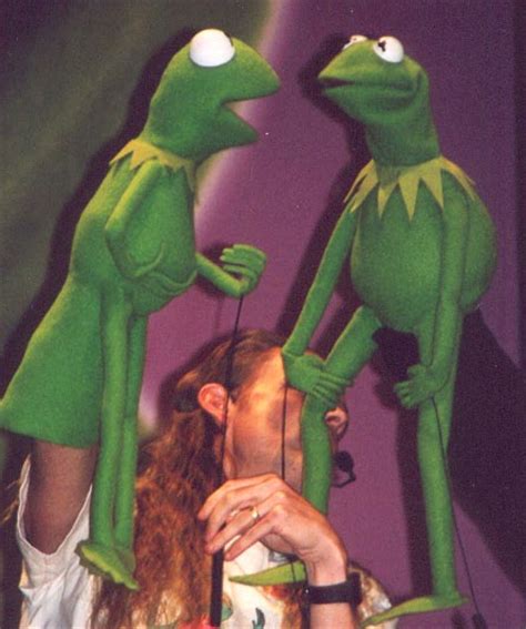 Young Kermit Muppet Wiki Fandom