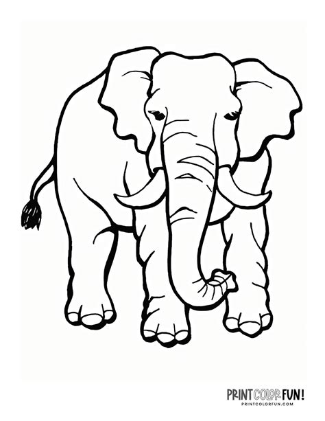Elephant Pages Coloring Color Kids Printable Baby Sketch Coloring Page