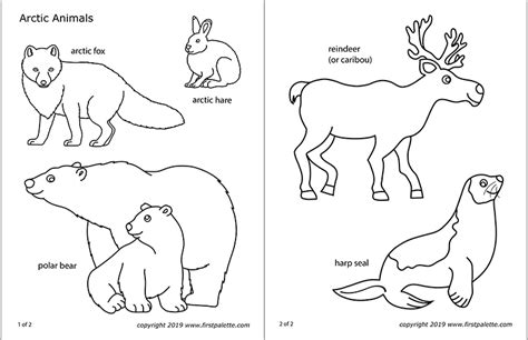 Arctic Polar Animals Free Printable Templates And Coloring Pages