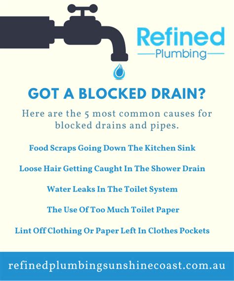 Guide To Blocked Drains Causes Remedies And Prevention Refined