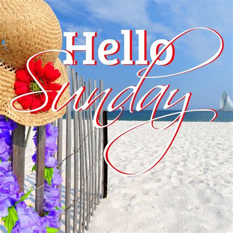 Happy Sunday Coastal Lovers ~ Hello Sunday Good Morning