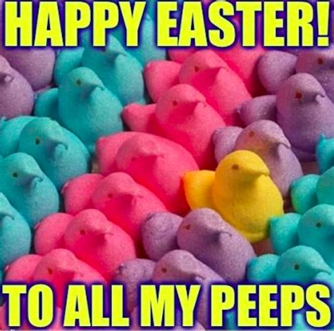 18 Funny Easter Memes To Make You Happy