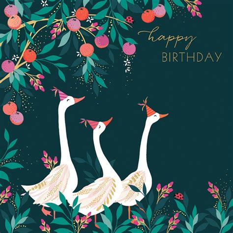 Happy Birthday Geese Card Fig And Fox