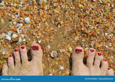 Women S Feet Are Standing On The Seashore Sea Sand Summer Clear