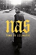 ‎Nas: Time Is Illmatic (2014) directed by One9 • Reviews, film + cast ...