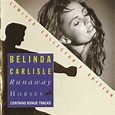 Belinda Carlisle - Runaway Horses (1990, CD) | Discogs