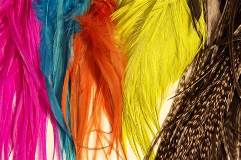 How To Dye Feathers Tutorial Feather Feather Crafts Feather Diy