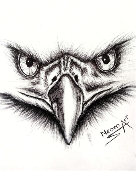 Dibujo A Bolígrafo Águila Animal Tattoo Tattoos Animals