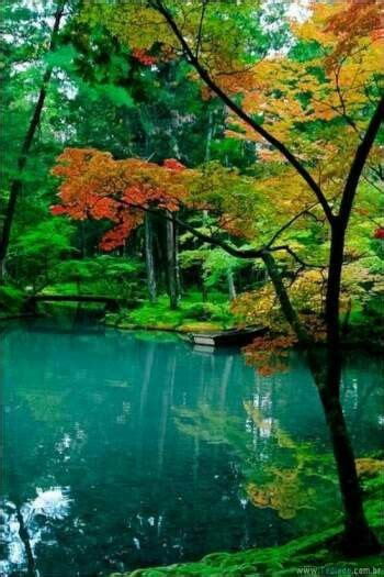 Pin De Jennefe Corrêa Em Places Fascinating Kyoto Japão Jardins