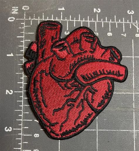 red anatomical human heart embroidered patch badge anatomy biology model organ 6 99 picclick