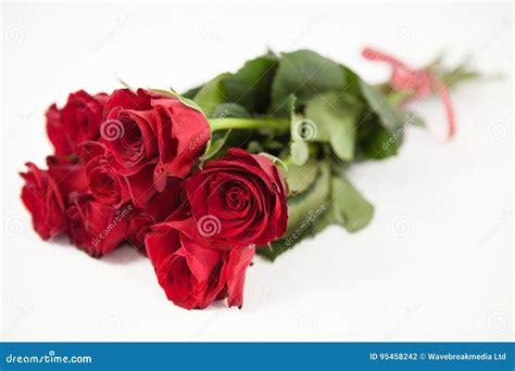 Bunch Of Red Roses Stock Photo Image Of People Studio 95458242