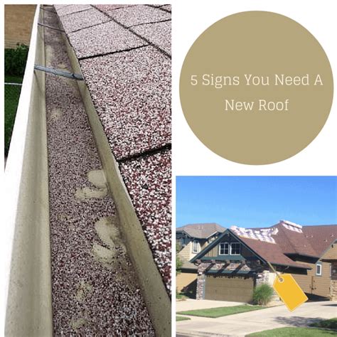 5 Signs You Need A New Roof New Roof Or A Repair